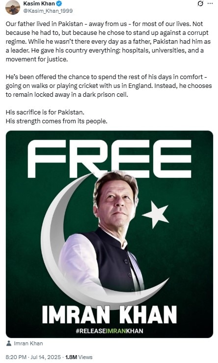 Pakistan awaits another debut as Imran Khan's sons take to political pitch