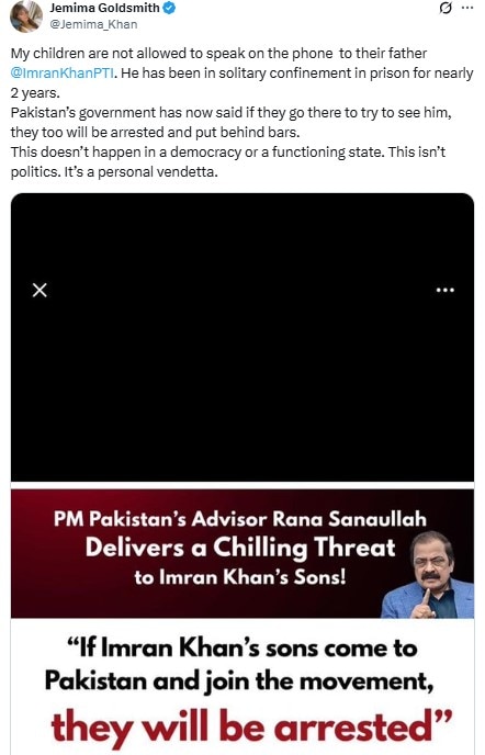 Pakistan awaits another debut as Imran Khan's sons take to political pitch