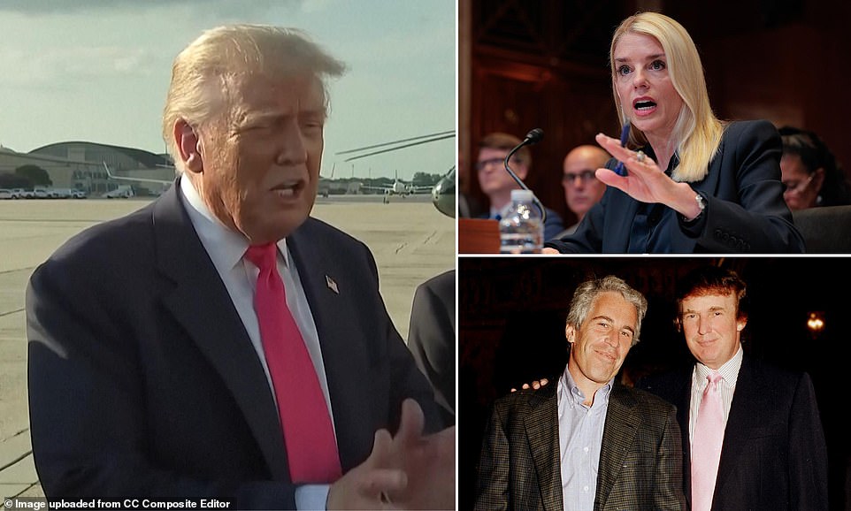 Trump Doesn T Understand Why Anyone Wants Epstein Files Released