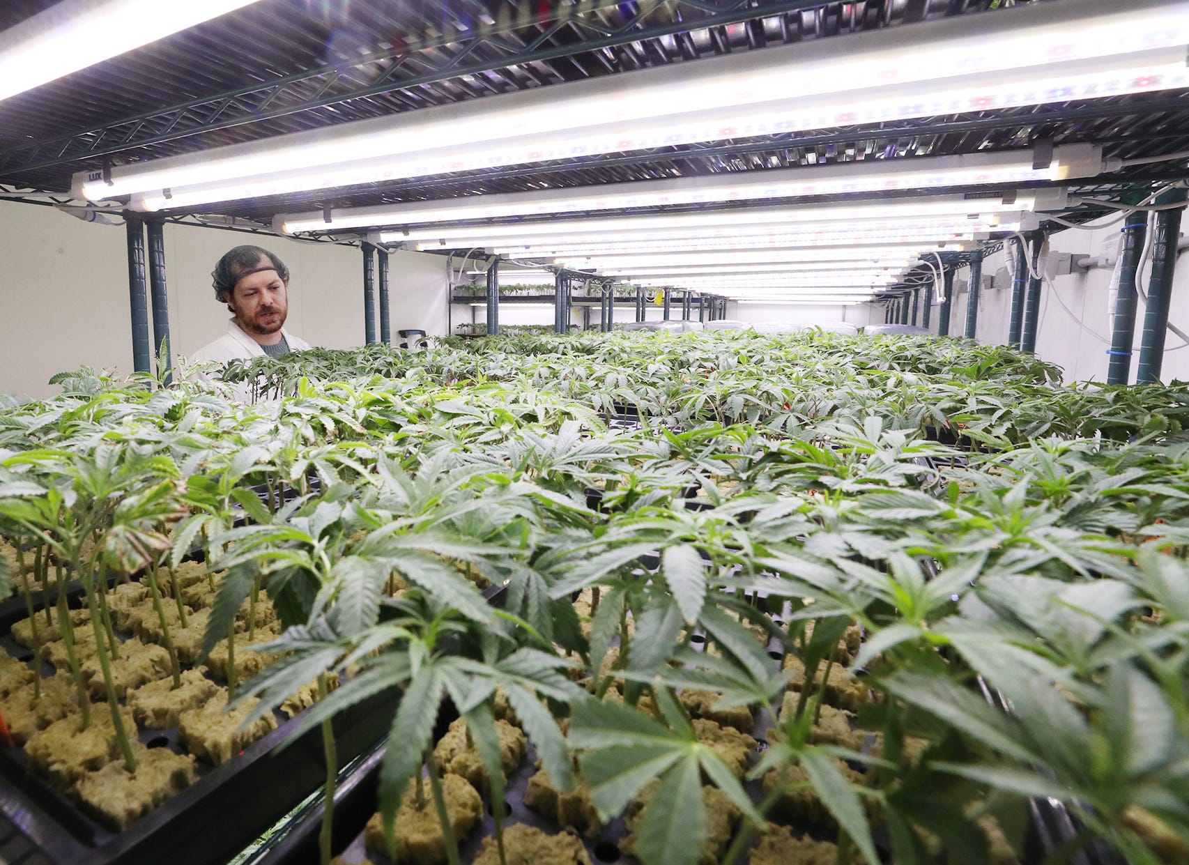 Klutch Cannabis plans marijuana dispensary near Akron's Ken Stewart's ...