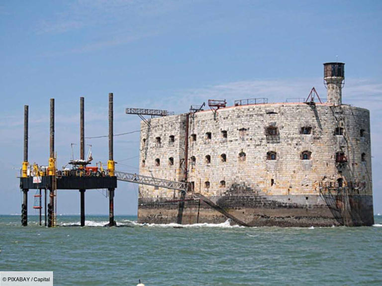 Fort Boyard en danger : un chantier gigantesque lancé pour sauver le ...