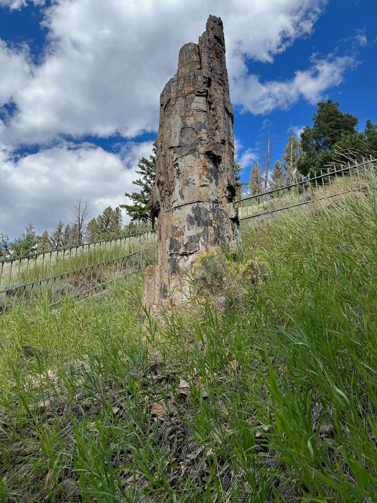 15 Best Stops to Make on Yellowstone’s Grand Loop Road