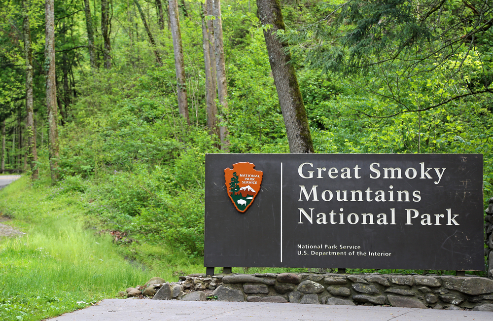 20 Great Smoky Mountains Trails With Fewer Crowds