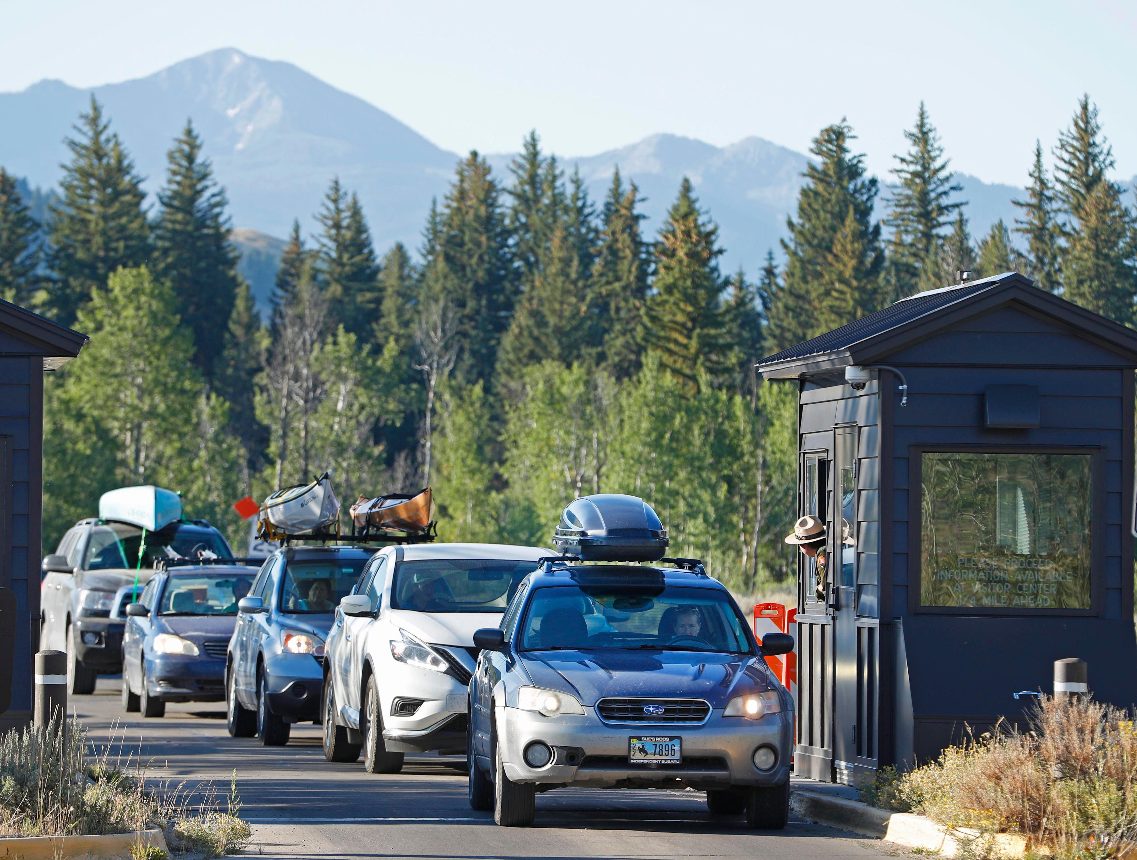 Bat Colony Found in Grand Teton Lodge Sparks Rabies Concerns