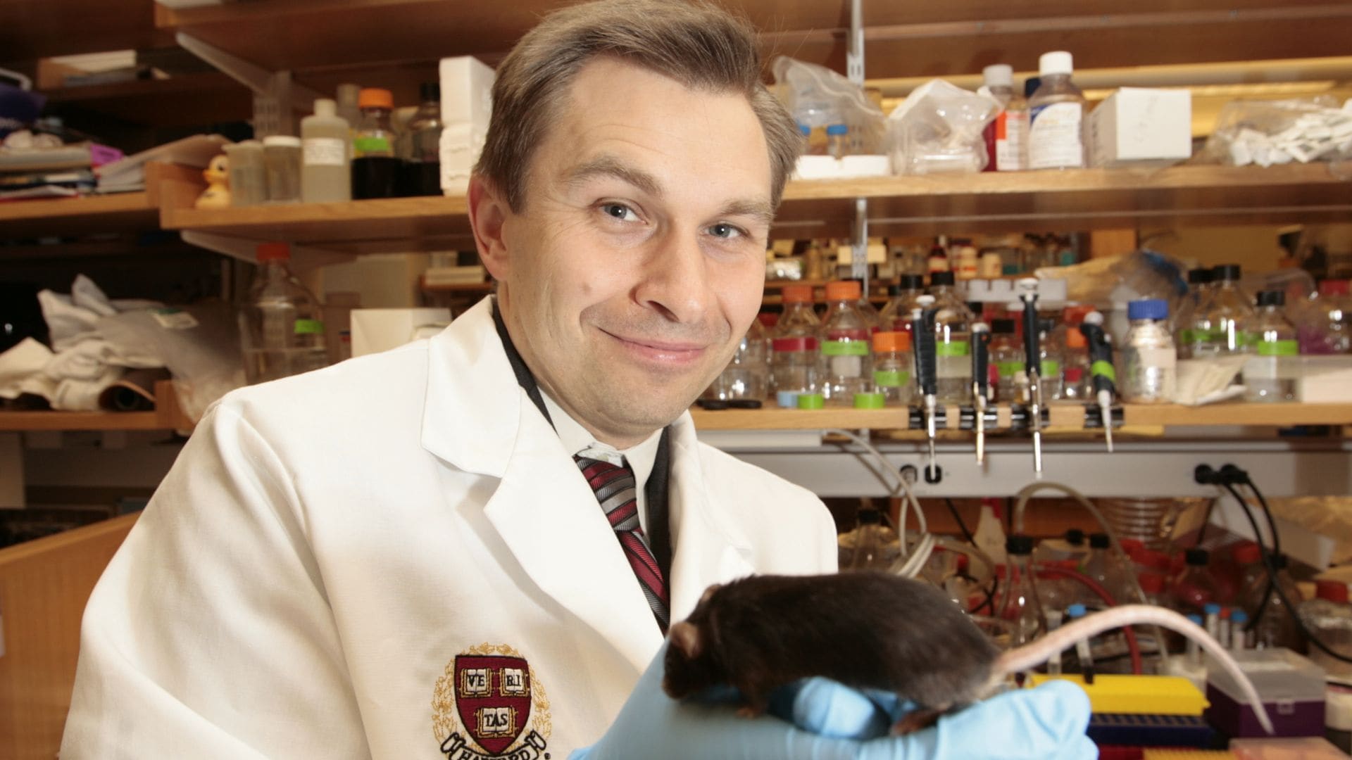 David Sinclair, el genetista que rejuveneció ratones: "Una pastilla al día  podría hacerte sentir diez años más joven"