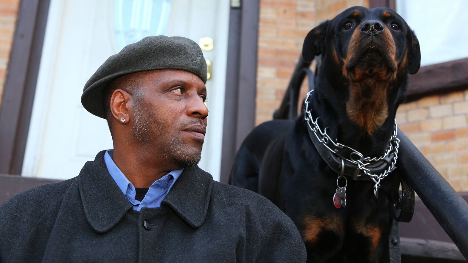 What Dog Breeds are Banned in the US: Uncover the List