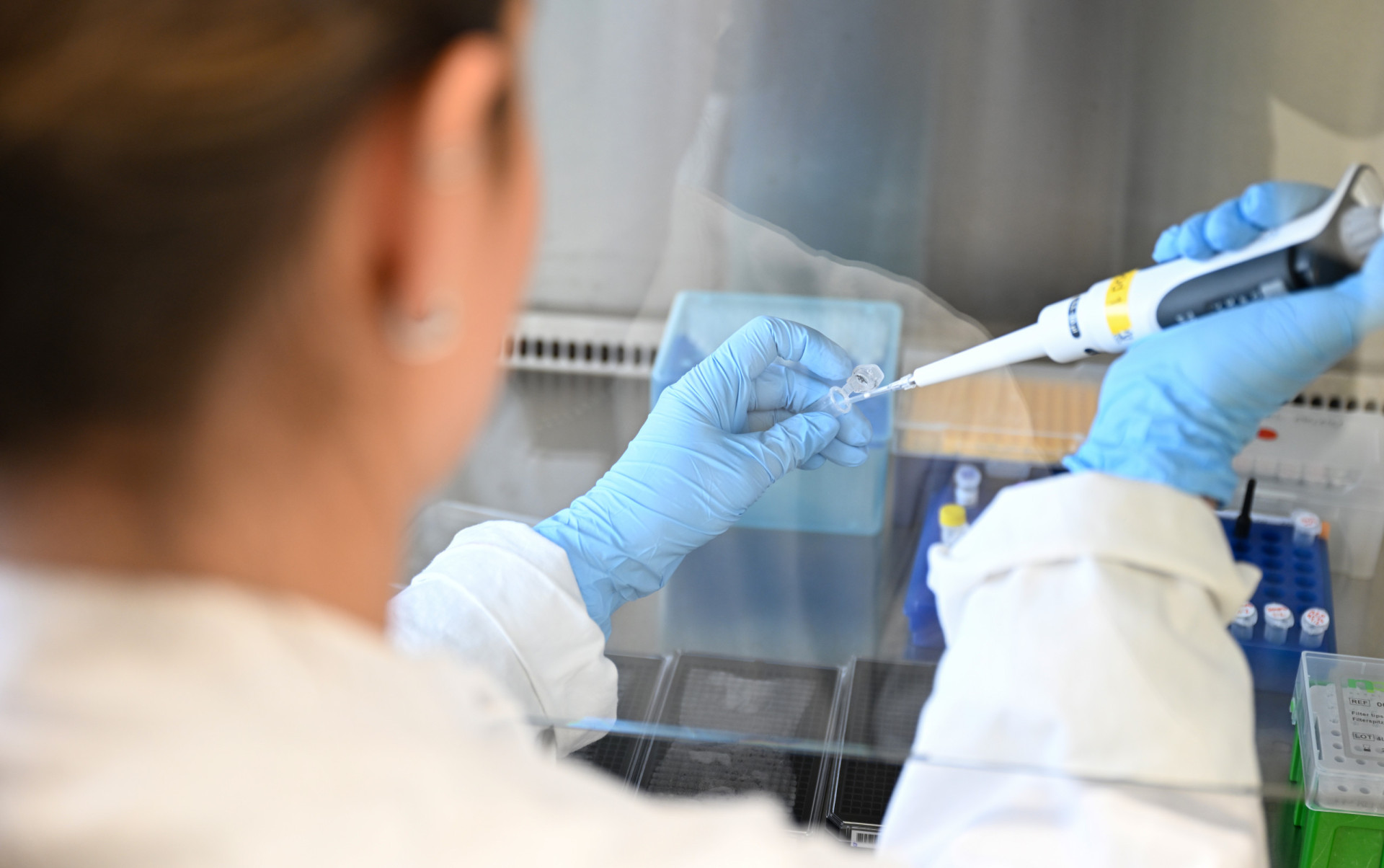 Groundbreaking discovery in cancer drug development