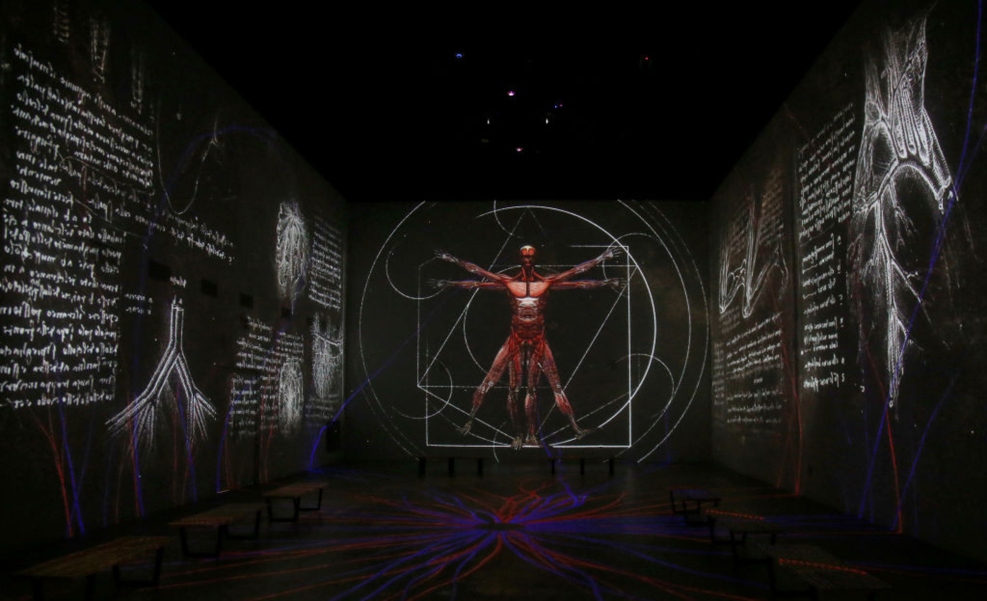 Why did Leonardo da Vinci draw the ‘Vitruvian Man’?