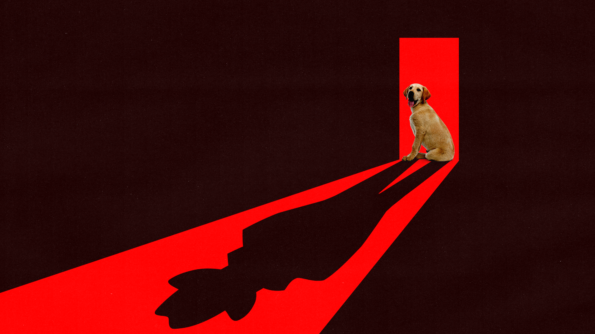 Trump’s War on the ‘Deep State’ Comes for the Dogs