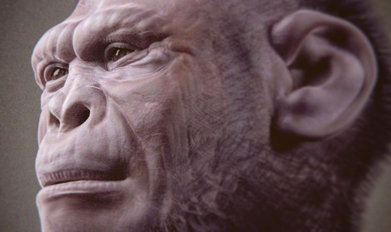 We weren't the first human species, and fossil remains prove that other ...