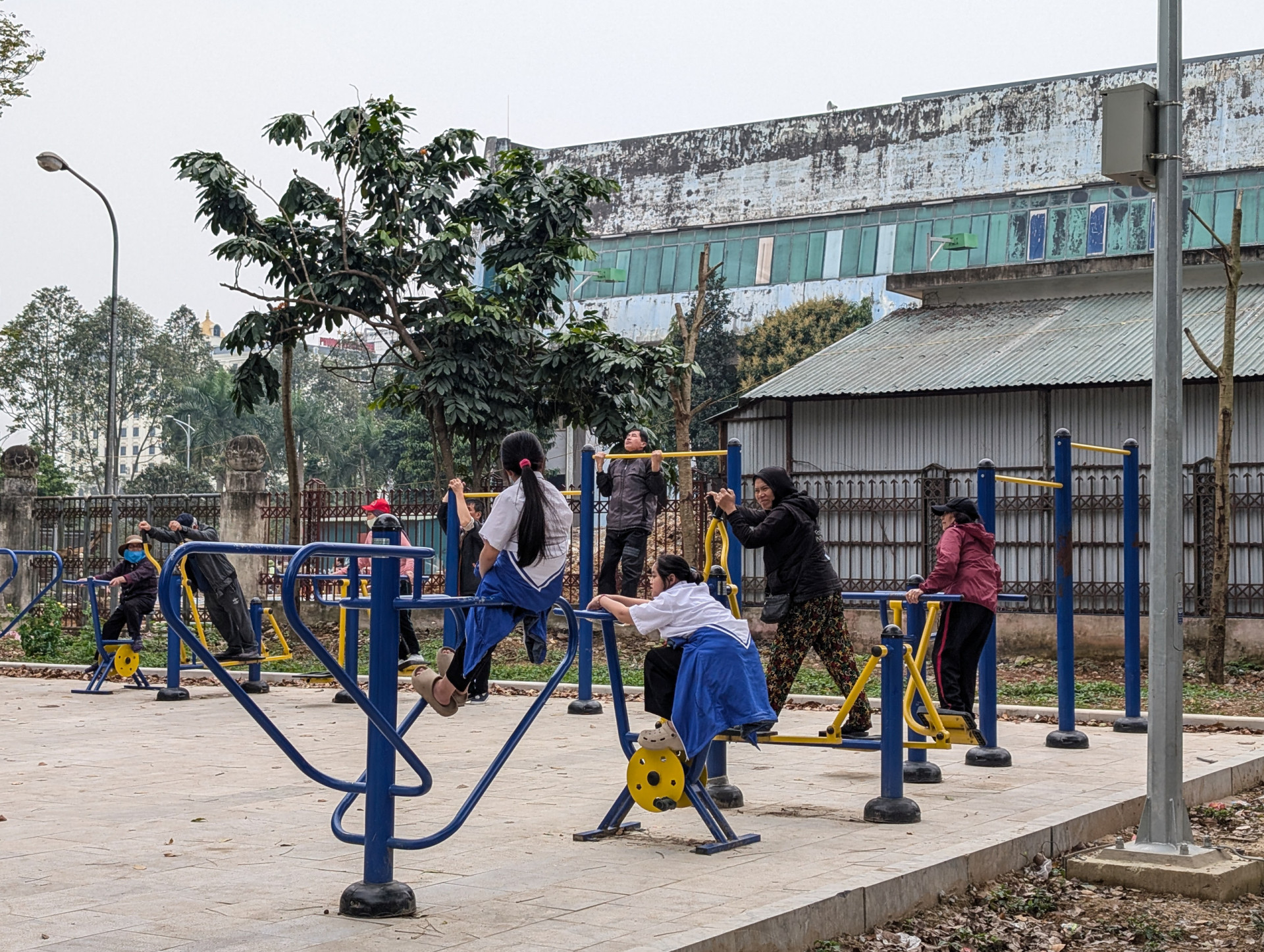 A beginner's guide to calisthenics exercises