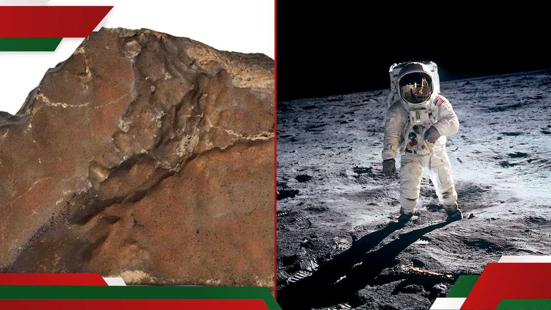 Martian meteorite Sold for KSh 687 million in public auction