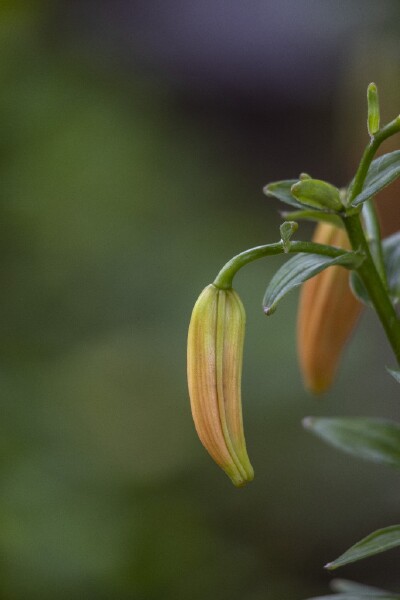 10 Underrated Gems of Matt Damon’s Filmography