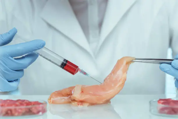 Frangos de laboratório chegam a restaurantes do mundo inteiro