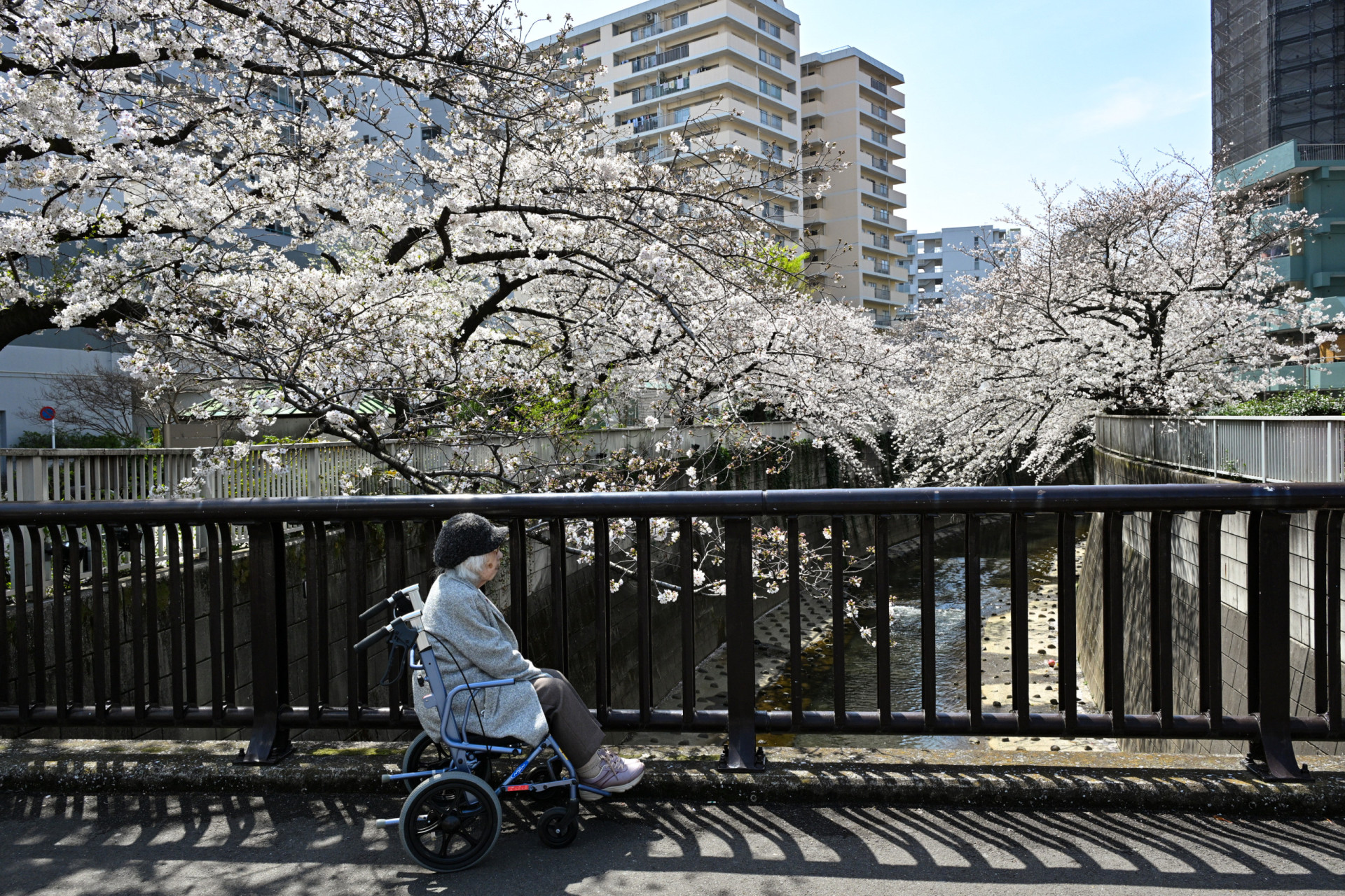 The most disability-friendly countries in the world