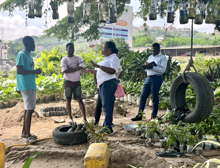 EPA warns against potting water hyacinth EPA warns against potting water hyacinth