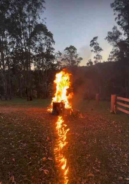 Setting a Tree Stump Ablaze Using Petrol in a Rural Landscape