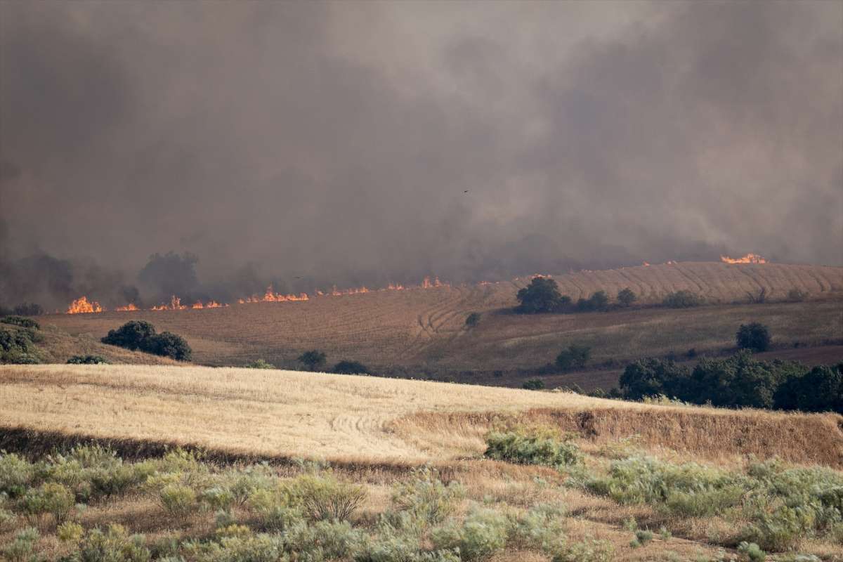 Qué se sabe de los incendios en la Cañada Real y Méntrida que han ...
