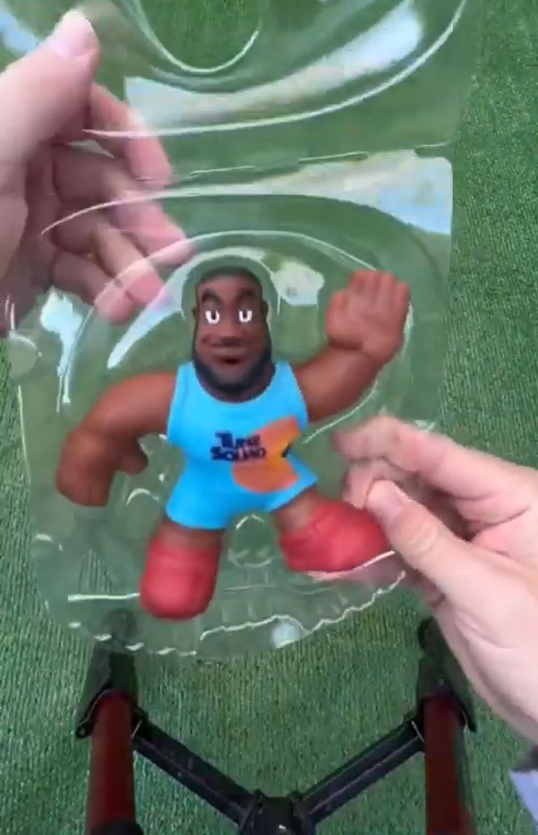 LeBron FLOODED My Garden — What Happened Next