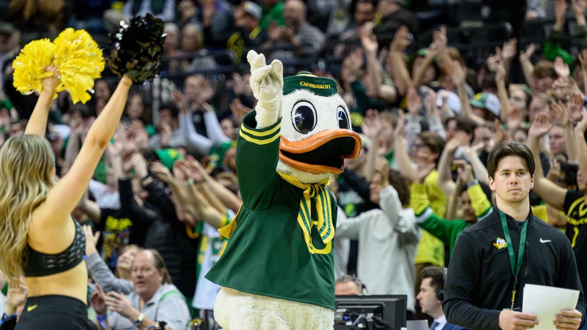 🔥 [50+] Oregon Ducks Screensavers and Wallpapers | WallpaperSafari, image size:1920x1080