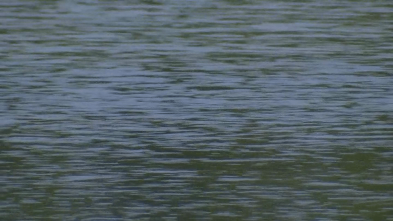 Man goes missing while swimming in Vermont river
