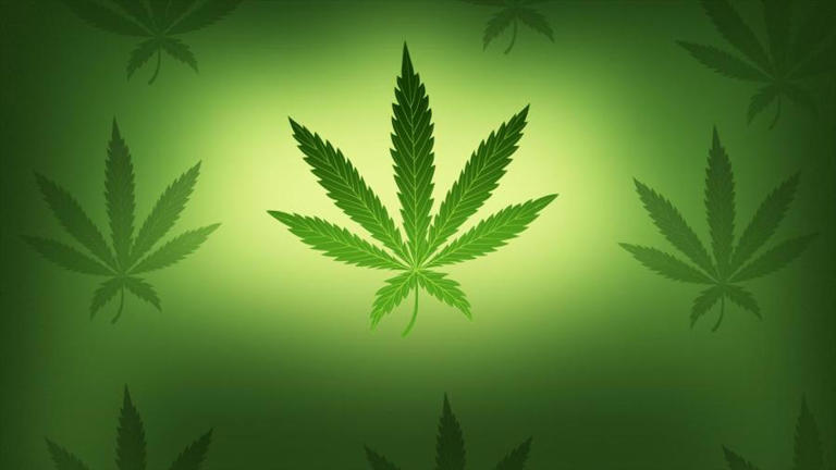 Delaware County couple arrested in marijuana trafficking bust