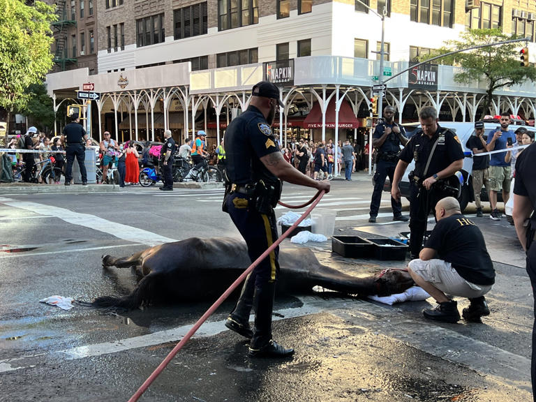 Carriage Horse Driver Ian McKeever Acquitted in Ryder Animal Cruelty Case