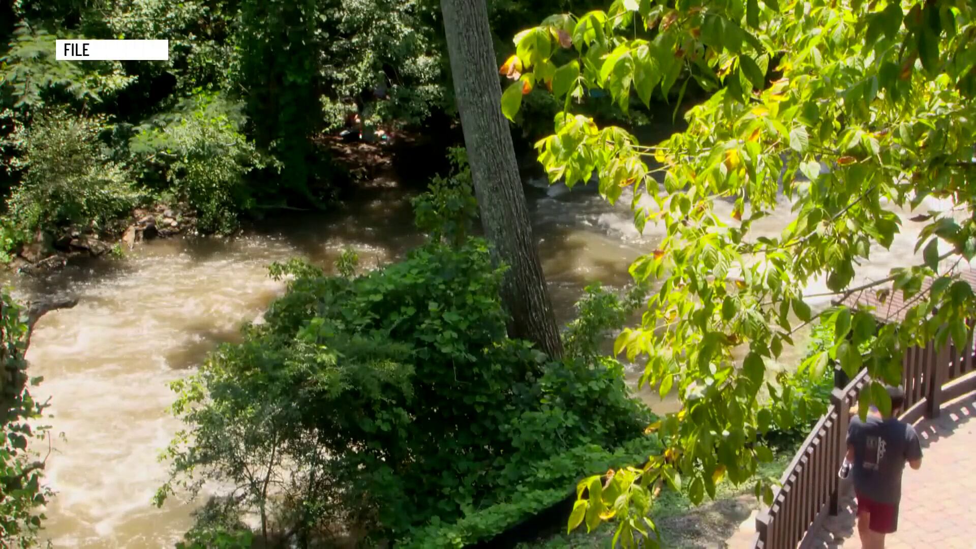 Man dies after being pulled from water in Roswell park, police say