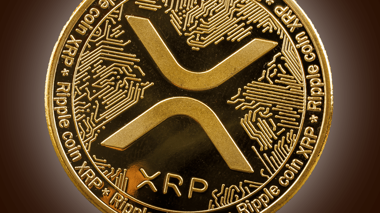 仮想通貨市場激震】ドージコイン最強上昇波、XRP過去最高値目前