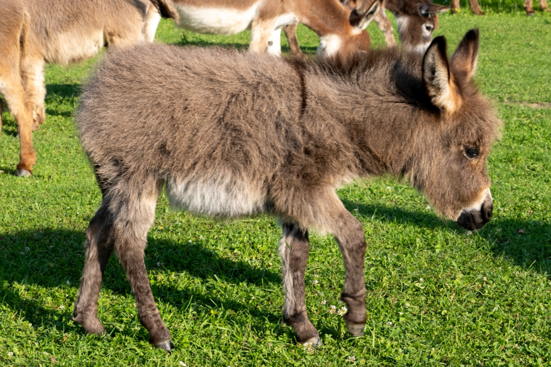 Unbelievable things sent through the mail