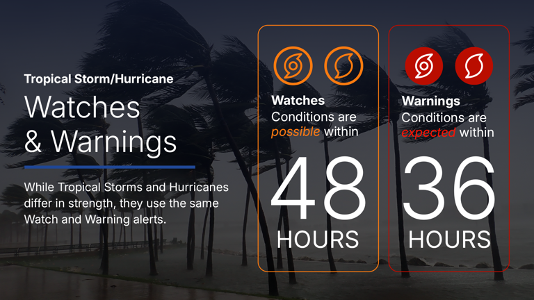 Hurricane preparedness: What you need to know during hurricane season