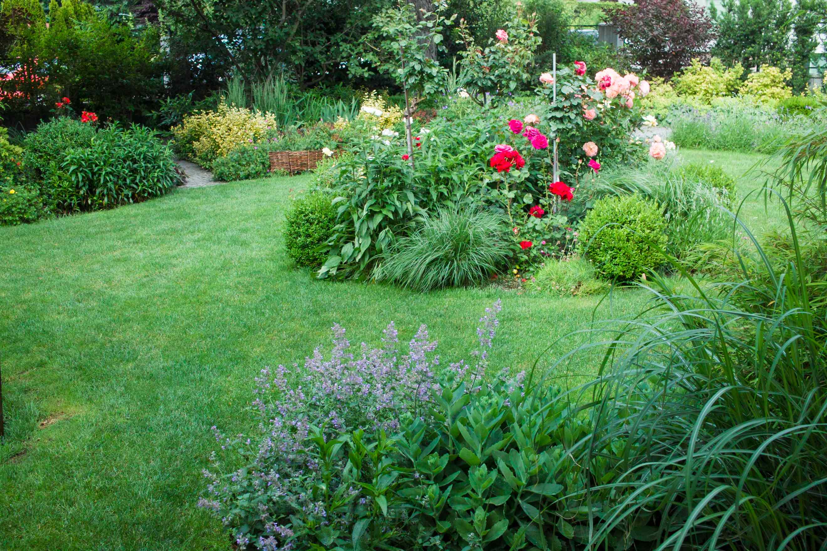 landscapers-agree-this-is-the-worst-thing-you-can-do-to-your-lawn-in