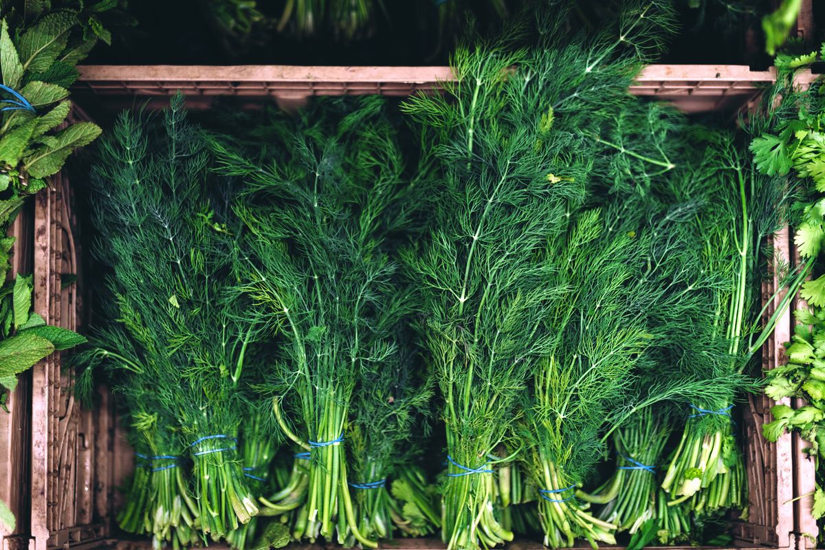 4) Dill
