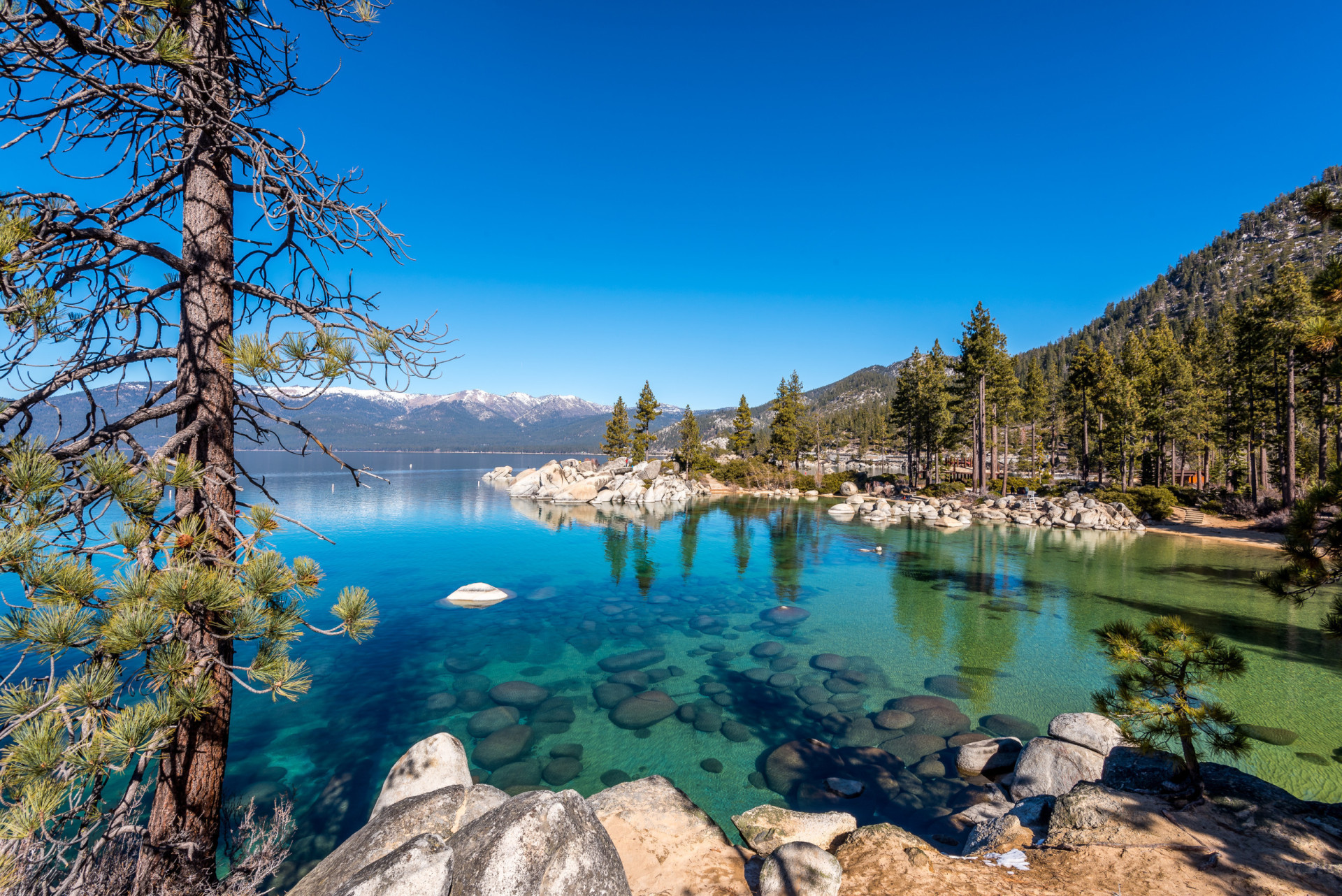 Road trip fun: Discovering hidden gems of the USA