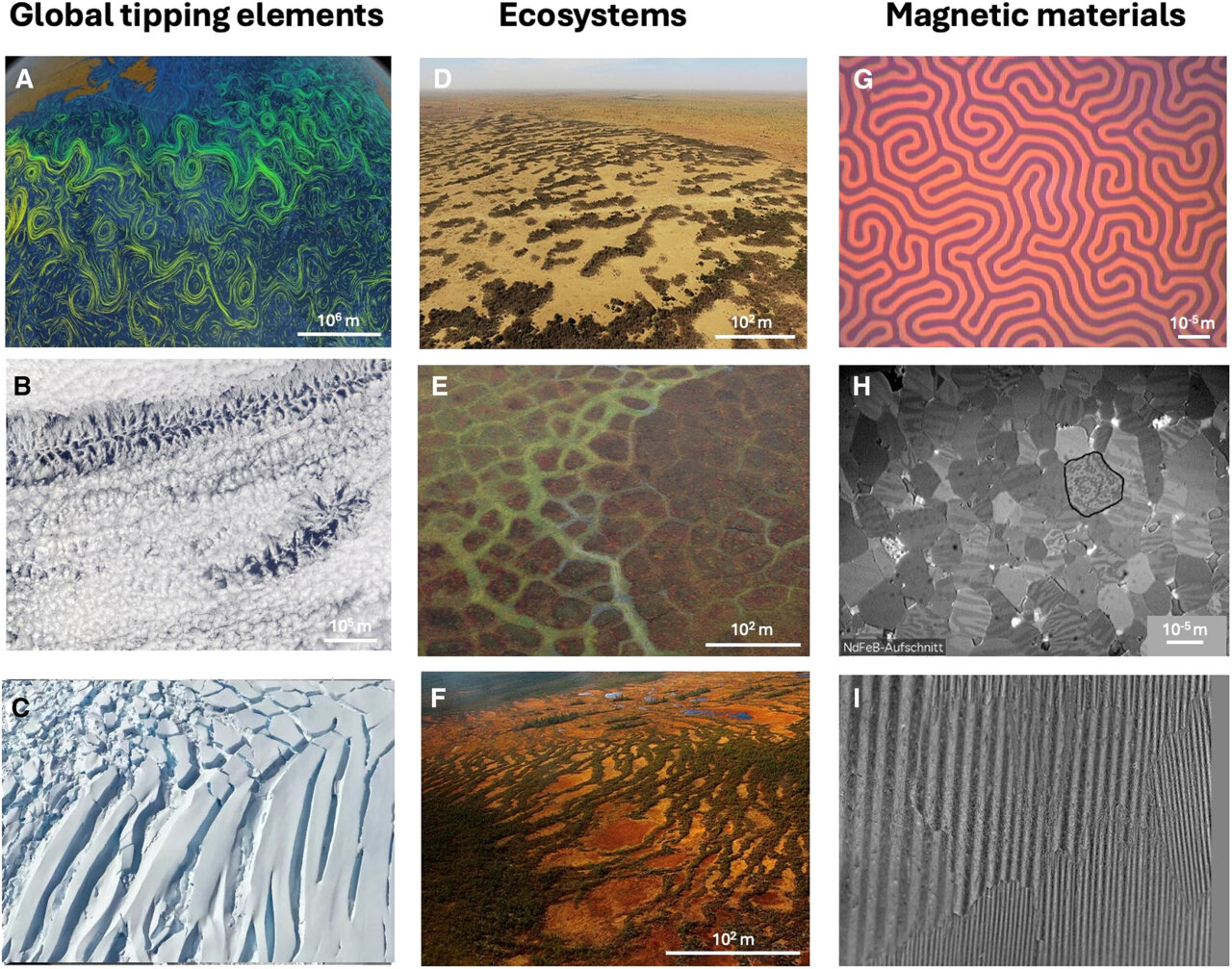 Ecosystem collapse patterns mirror magnetic material behavior under stress