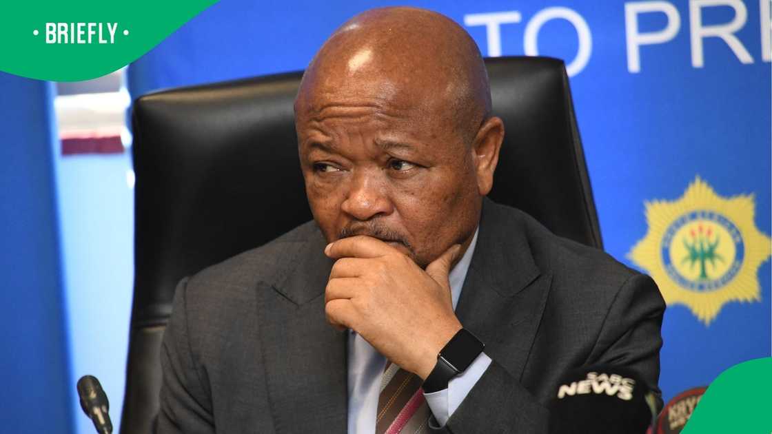 Senzo Mchunu breaks his silence, SA weighs in as Police Minister welcomes  Commission of Inquiry
