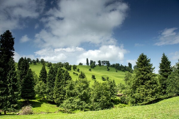 The 30 Best Amazon Prime Original Movies You Shouldn’t Skip