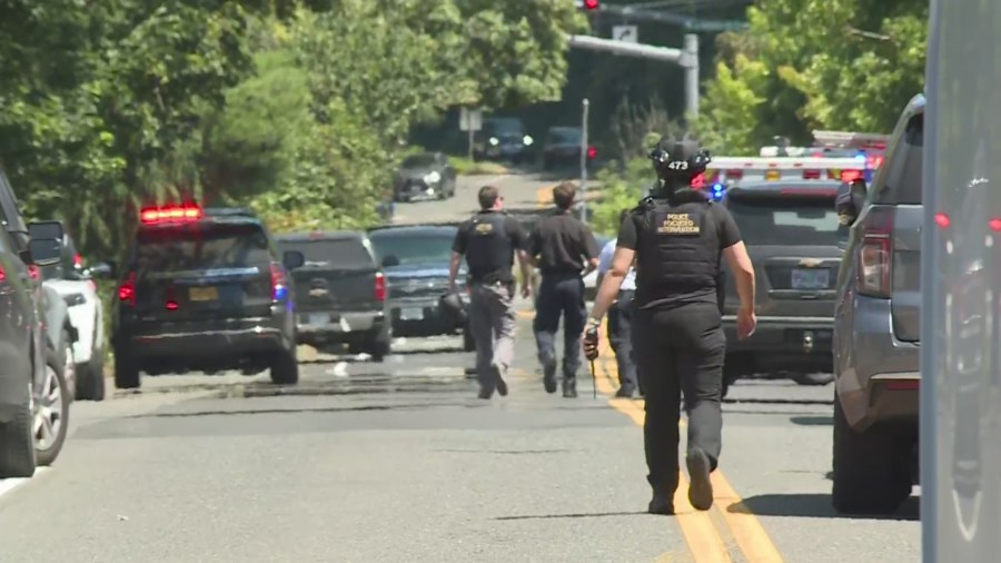 ‘Dad killed my mom’ 4yearold called 911 after mother was allegedly