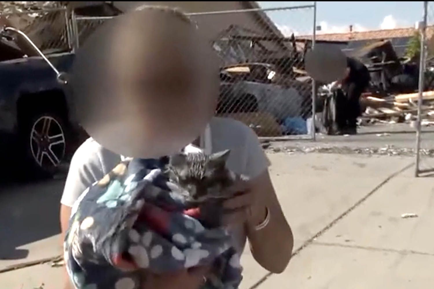 A Family's Beloved Cat Went Missing After a House Fire. Now They've