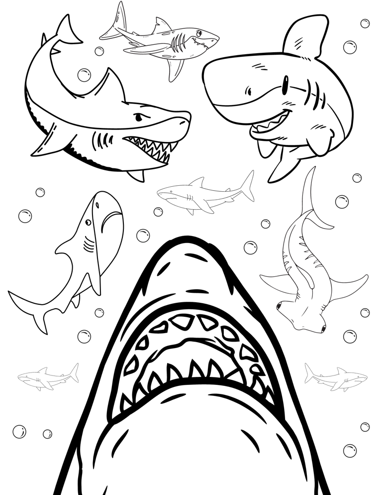7 spectacular shark coloring pages