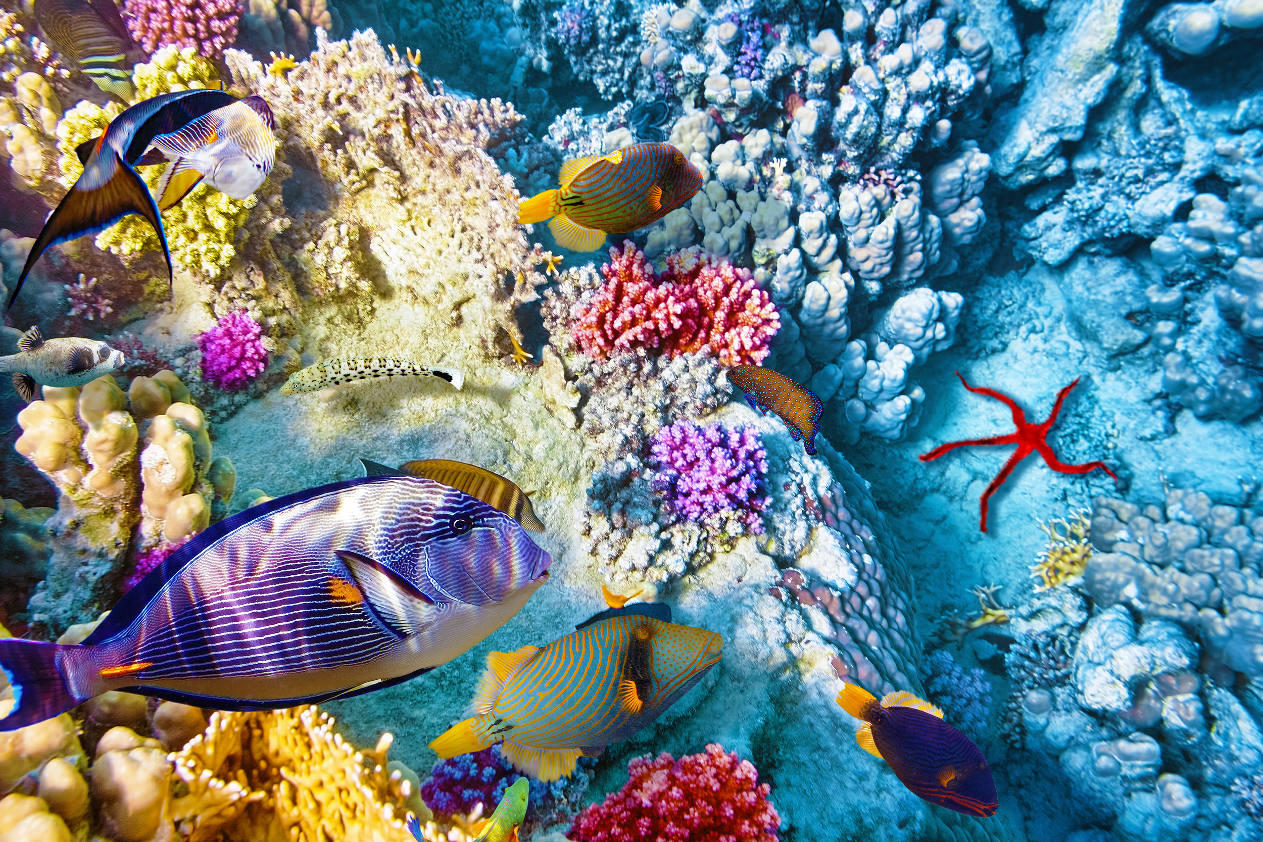 20 Epic Destinations for Marine Life Encounters