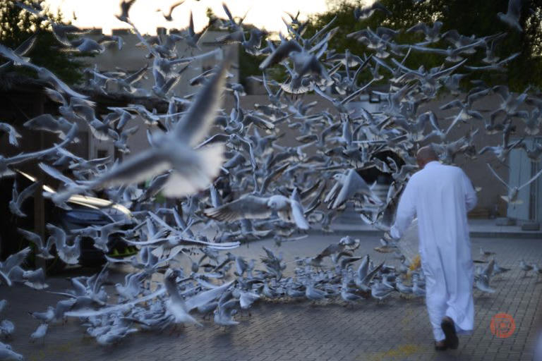 Taking one good photograph with presence of mind