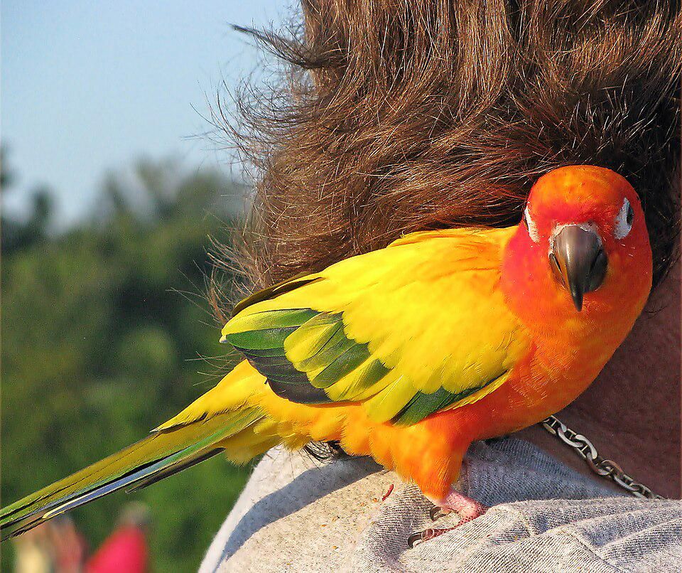Featured Image