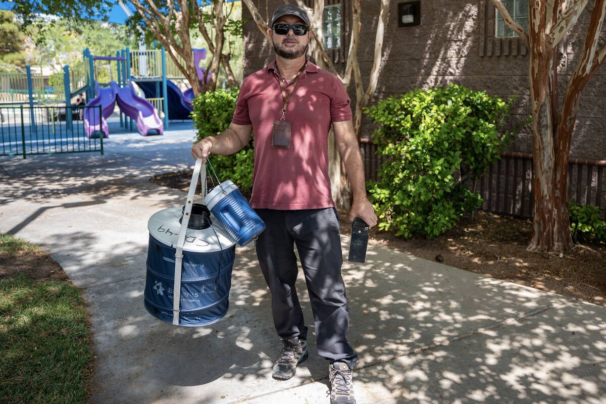 Vegas Mosquitoes: Here to Stay & Spray-Resistant