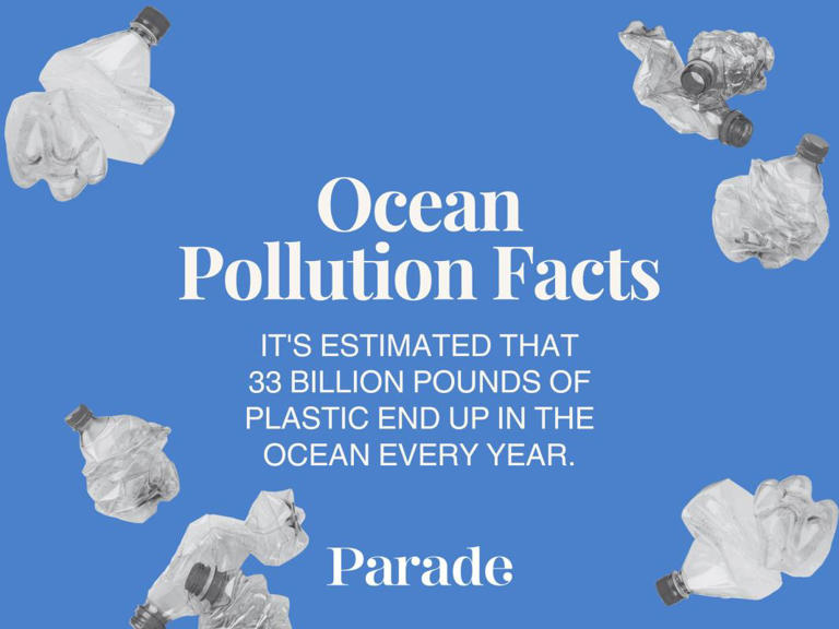 60 Interesting Ocean Facts That'll Either Terrify You or Amaze You