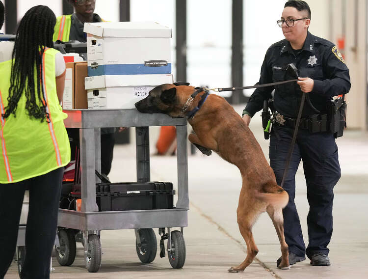 how-much-do-constables-earn-in-the-houston-area-data-shows-pay-varies