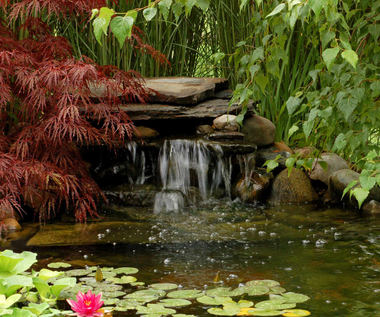 This Japanese zen garden planter idea is the easiest way to create a ...