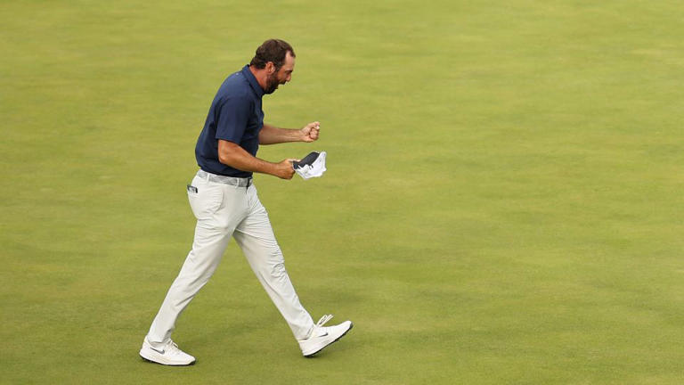 Scottish Terrier visual data 4