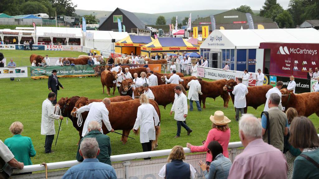 Debate over farm subsidy plan moves to Royal Welsh