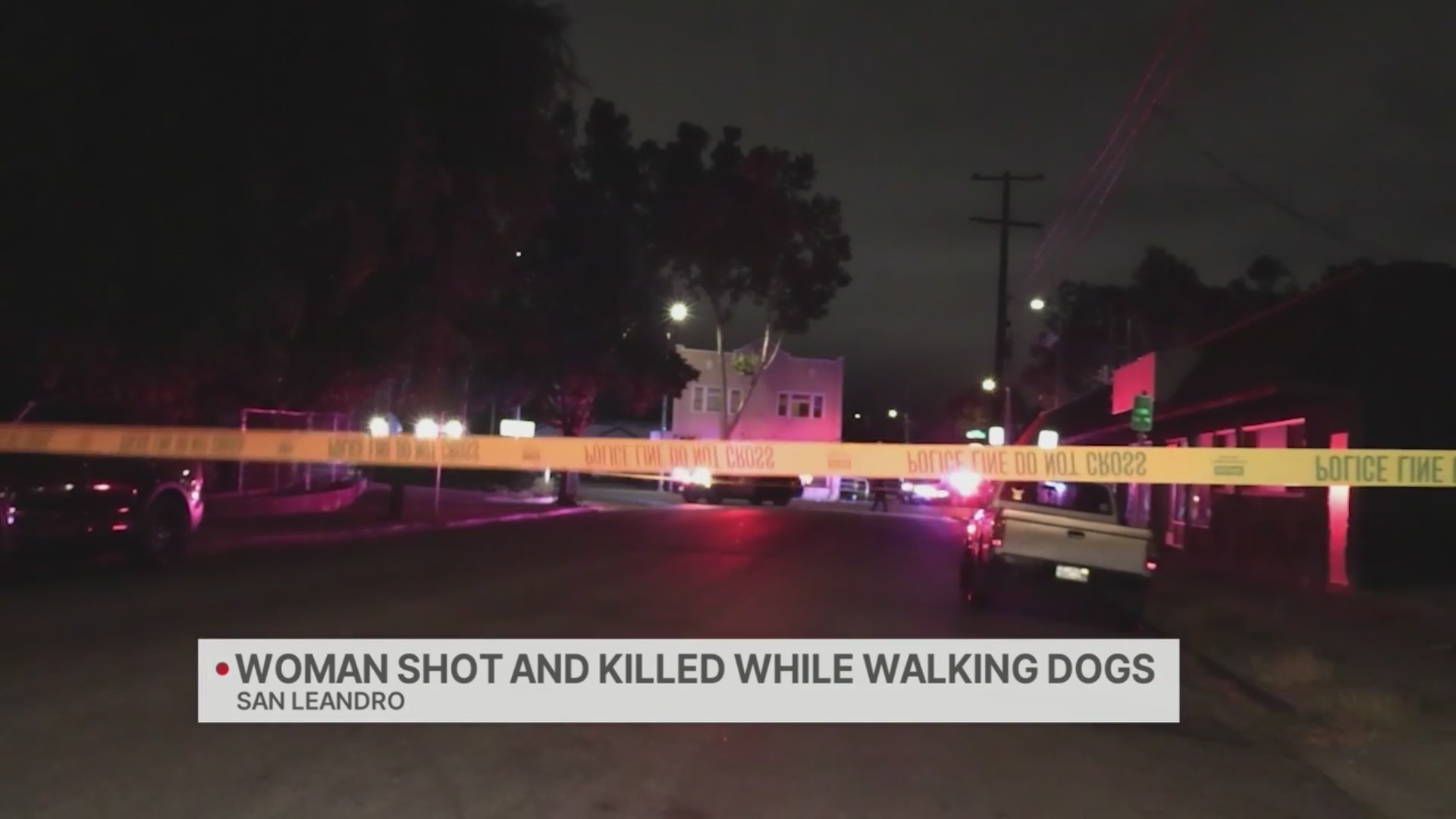 Woman shot and killed while walking dogs in San Leandro